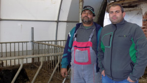 Как животновъдна ферма се спаси от липсата на работна ръка?  - Agri.bg